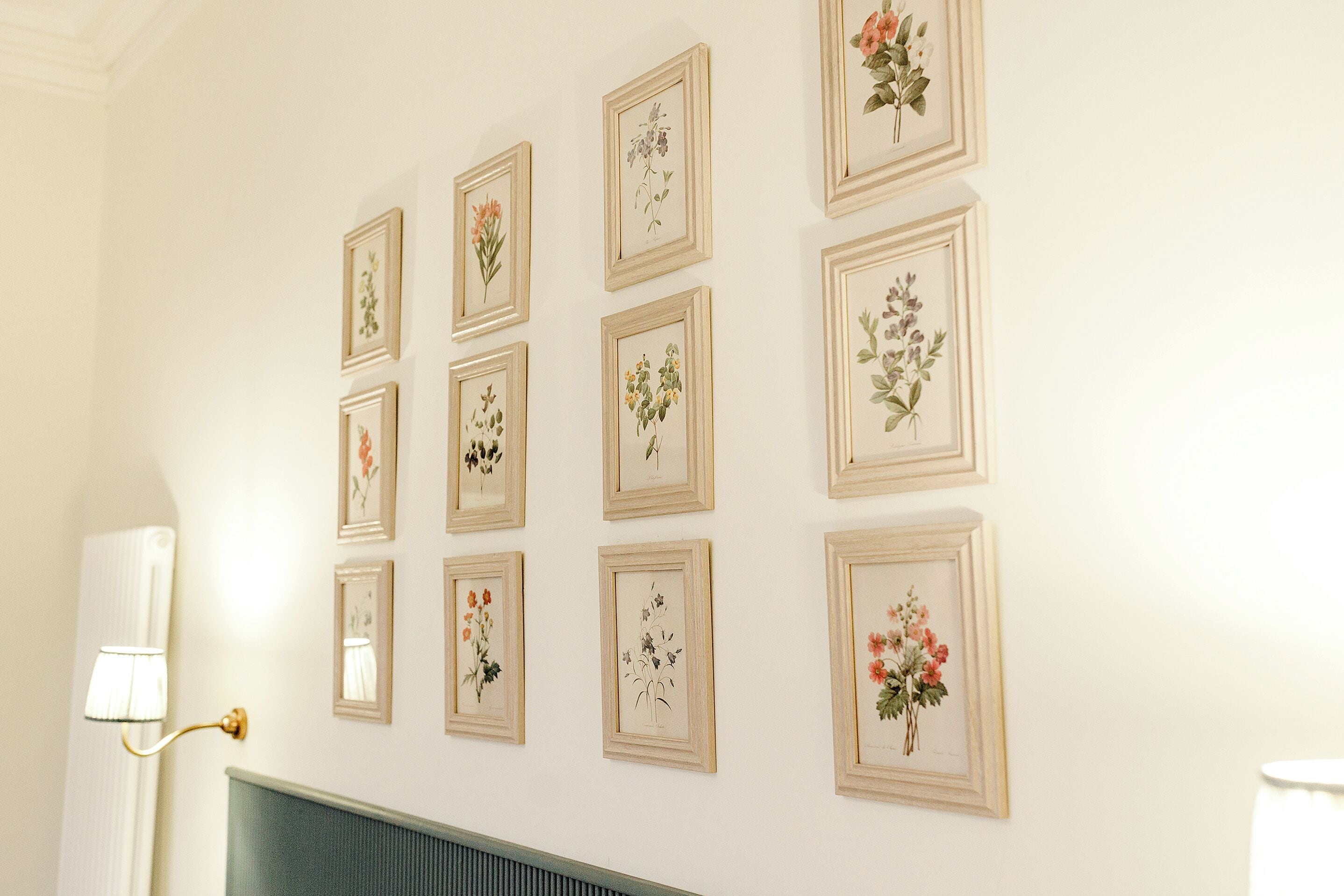 A wall with framed botanical prints arranged in a grid pattern.