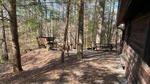A forested campsite with picnic tables and a cabin. - Adventurer's  Lodge, a charming 3-bedroom cabin with WiFi in quiet Lansing, WV. (Lansing)