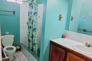 Hair dryer, soap, toilet paper
