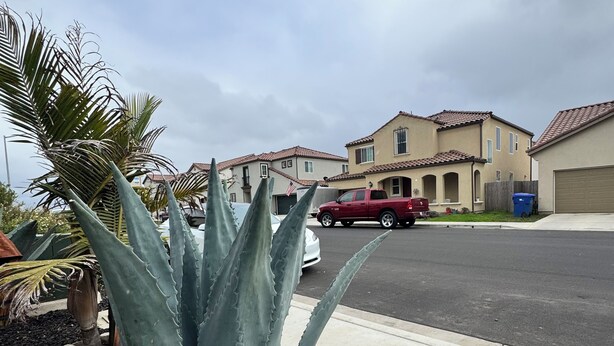 Un quartier résidentiel avec des maisons, un camion rouge et un grand agave au premier plan.