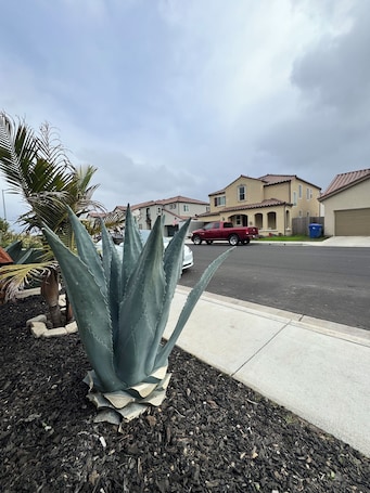 施設の敷地. Cozy 450sqft ADU in charming Guadalupe 4 minutes from the beach, Full kitchen.