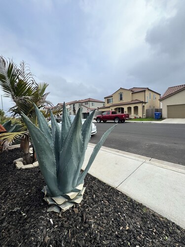 Cozy 450sqft ADU in charming Guadalupe 4 minutes from the beach, Full kitchen.