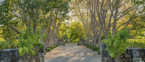 Áreas de la propiedad