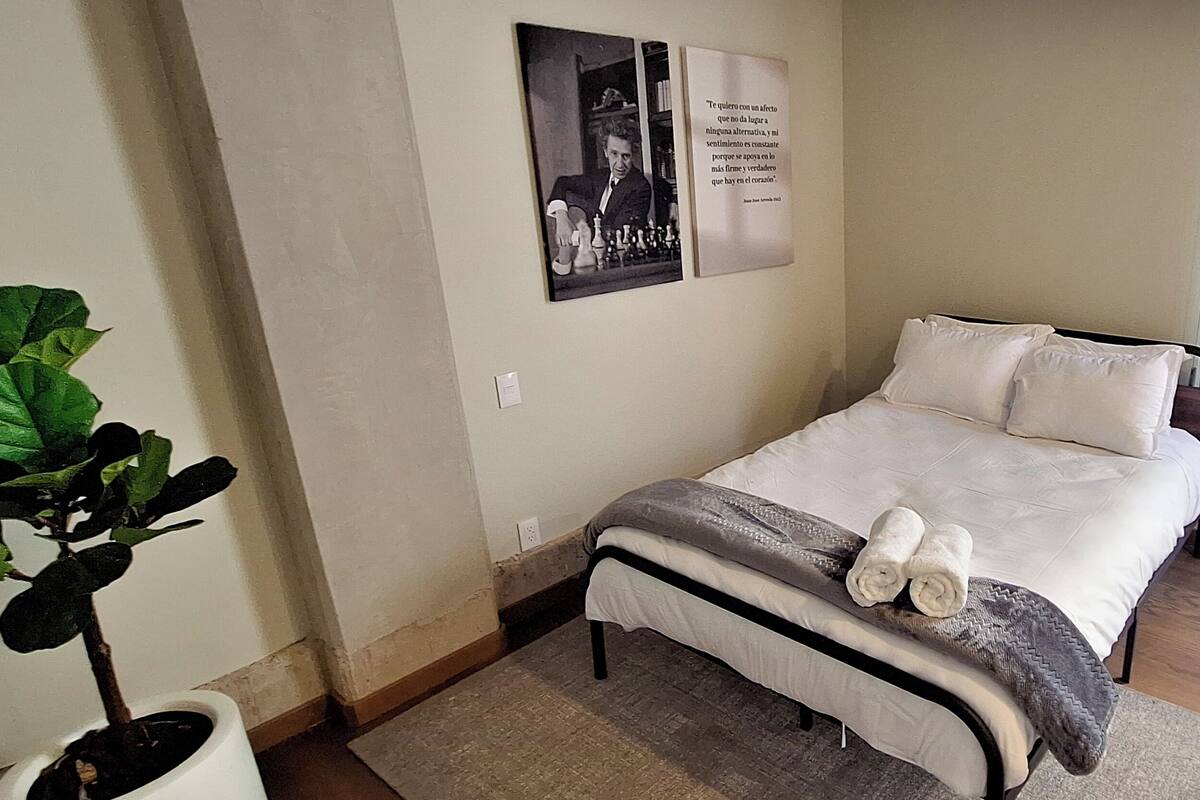 A bedroom with a bed, two pillows, a blanket, a potted plant, and a wall with two framed pictures.