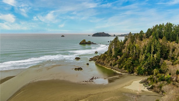 A coastal landscape with a sandy beach, rocky outcrops, and dense forested hills. - Gog and Pop's Beach House - Ocean Views, WiFi, BBQ (Trinidad)