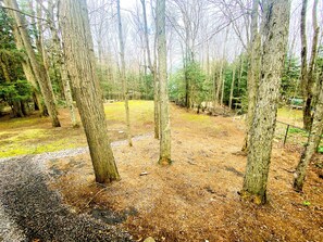 Overnattingsstedets uteområder