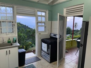 Una cocina compacta con estufa a gas, un lavamanos y ventana con vistas a un paisaje exuberante.