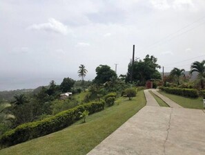 Área da propriedade