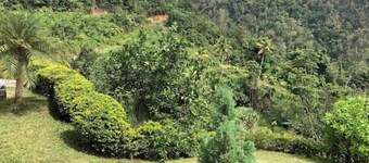   Providence ,Charming 3-bedroom cottage with WiFi and AC in Mahaut.