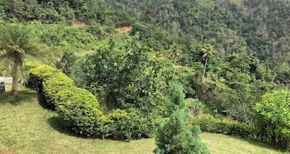 Providence ,Charming 3-bedroom cottage with WiFi and AC in Mahaut.