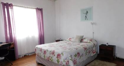 Wind Hostel