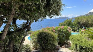 Una piscina rodeada de exuberante vegetación y vistas al mar.