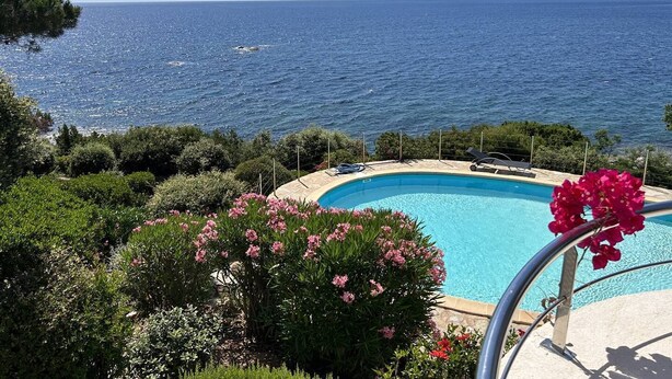 Una piscina con vistas al mar, rodeada de vegetación y flores.