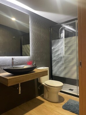 Shower, hair dryer, towels