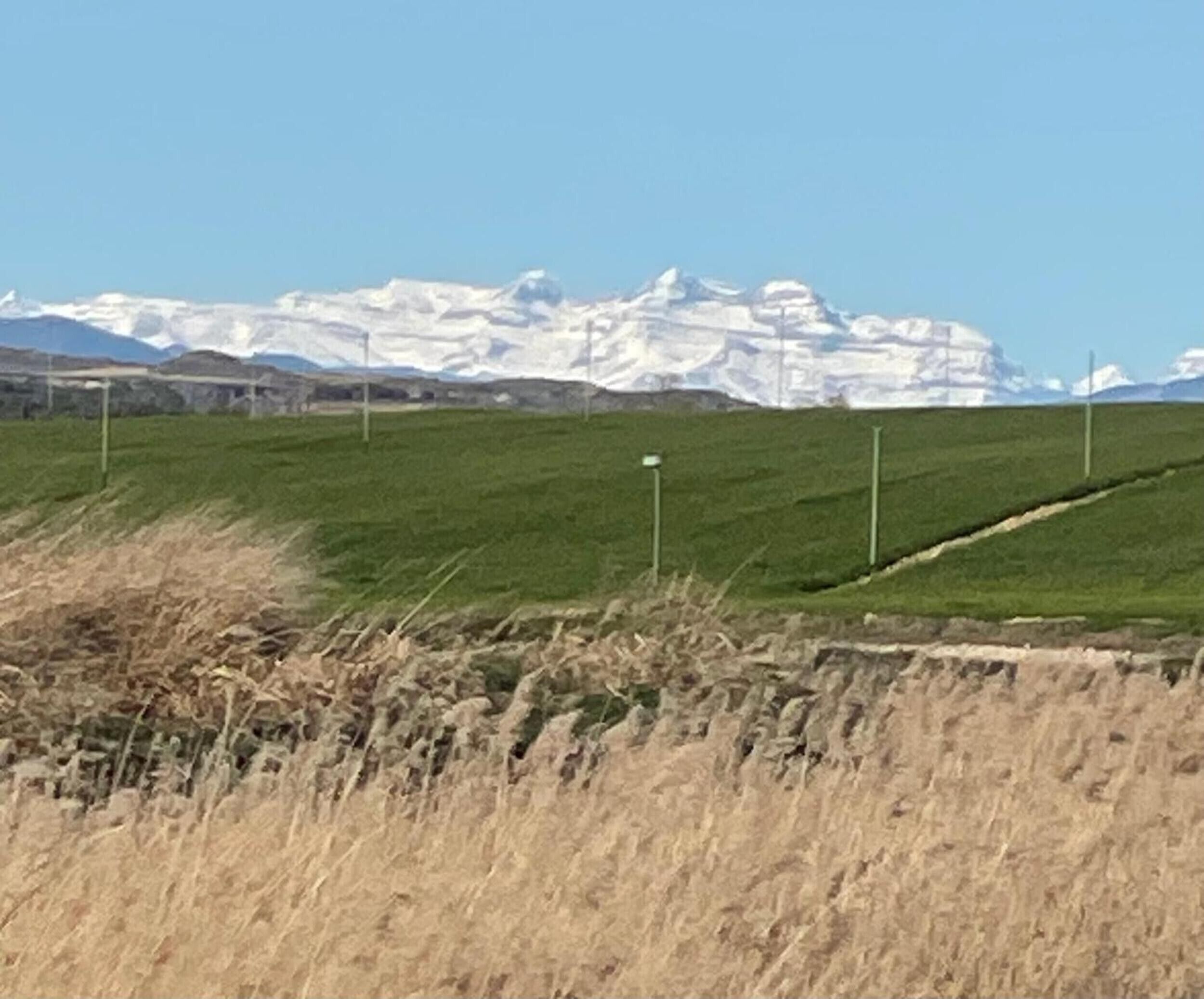Un campo cubierto de hierba con una cadena montañosa al fondo.