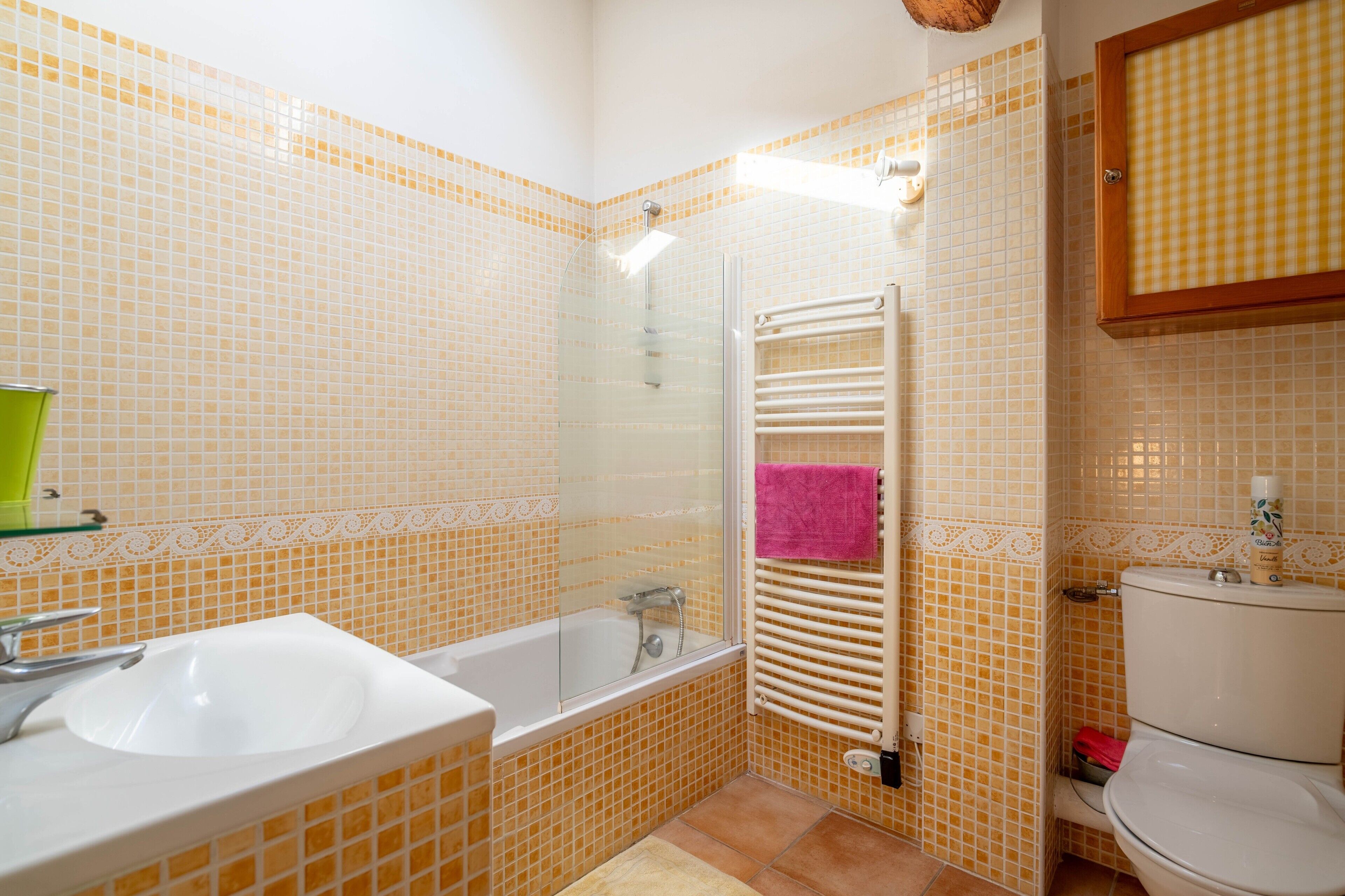 Dutxa, assecador de cabells i tovalloles 