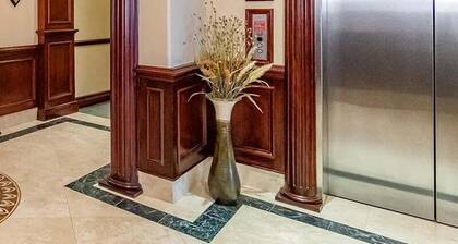Luxury Studio | In Town | Wi-Fi | The Grande 312