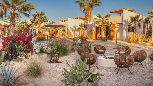 Ein Resort mit Außenbereich, Palmen und einem Wüstenpflanzenhain.