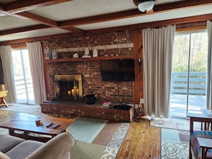 Smart TV, fireplace, DVD player, books
