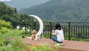 Exterior - Gapyeong Dream Pool Villa pet Pension (Gapyeong)