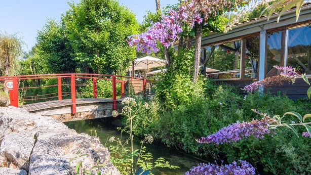 A wooden bridge over a calm river, surrounded by lush greenery and flowering plants.