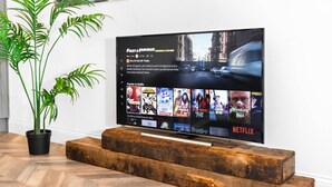 Un televisor de pantalla plana montado sobre una plataforma de madera, con una planta en maceta a su lado.