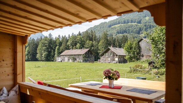 Una cabaña de madera con vistas a un campo cubierto de césped y dos graneros rústicos.