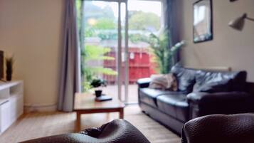 Smart TV, fireplace, books