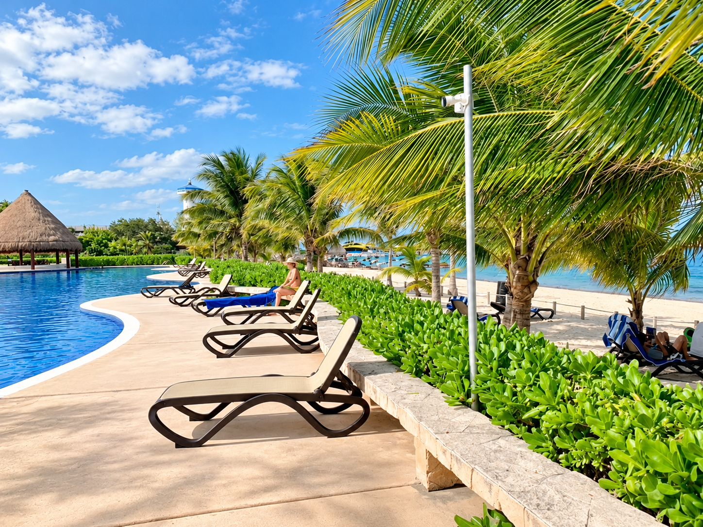 A poolside area with lounge chairs and a palm tree.