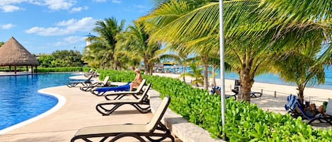 A poolside area with lounge chairs and a palm tree.