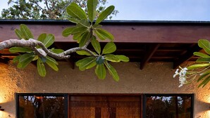 Un edificio con puerta de madera, escalones de piedra y un jardín con diversas plantas.