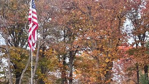 A residential area with two houses, a flagpole with an American flag, and autumn foliage. - By The Rivers Edge....remodeled cozy cottage (Geneva)