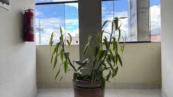 Chi tiết nội thất