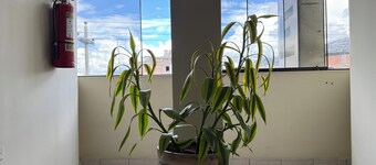 Hotel El Gran Patriarca