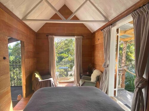 Like a magic carpet ride in the canopy of the forest.