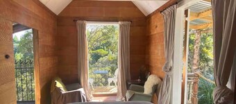 Like a magic carpet ride in the canopy of the forest.