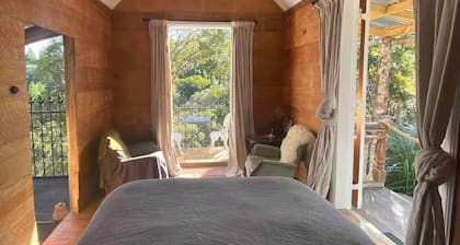 Like a magic carpet ride in the canopy of the forest.