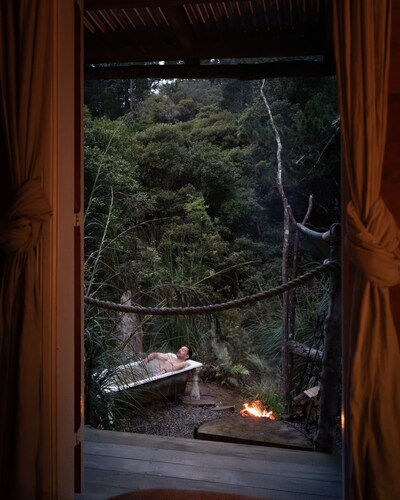 Like a magic carpet ride in the canopy of the forest.