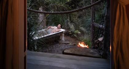 Like a magic carpet ride in the canopy of the forest.