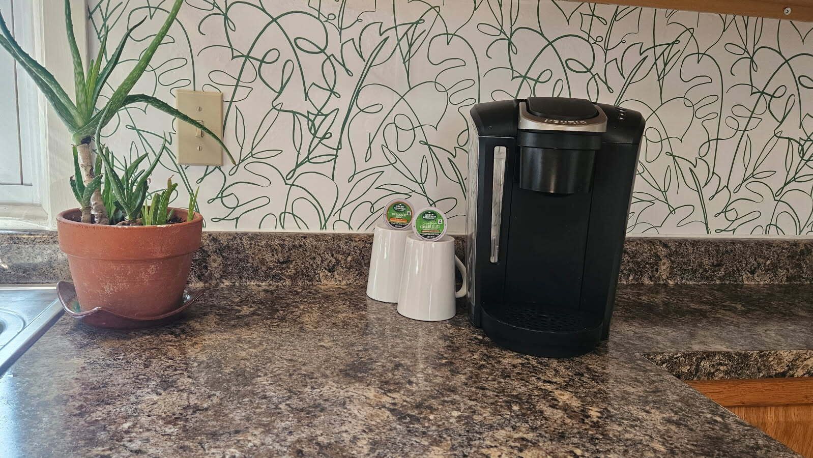 En köksbänk med en kaffebryggare, en krukväxt och en dekorativ väggbeklädnad bakom bänken.