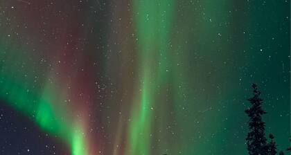 Aurora Ridge Cabin | Stunning Views & Northern Lights, We cannot wait to host you during your Alaska