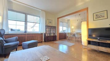 Fernseher, Stereoanlage