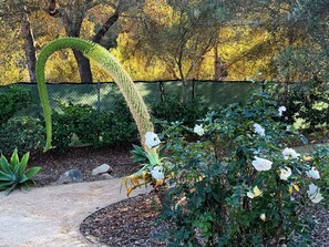 Property grounds - Vista Haven in Santa Barbara (Montecito)