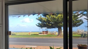 A view through a window of a building with a road, a large tree, and a distant view of a body of water.