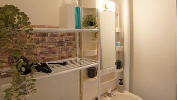 Shower, hair dryer, bidet, towels