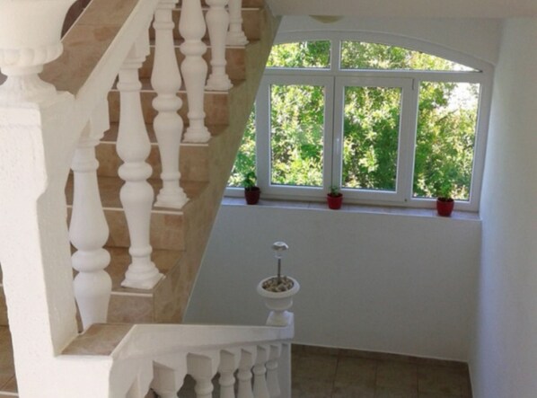 A staircase with white balusters leading to a landing. There are two potted plants on the landing.