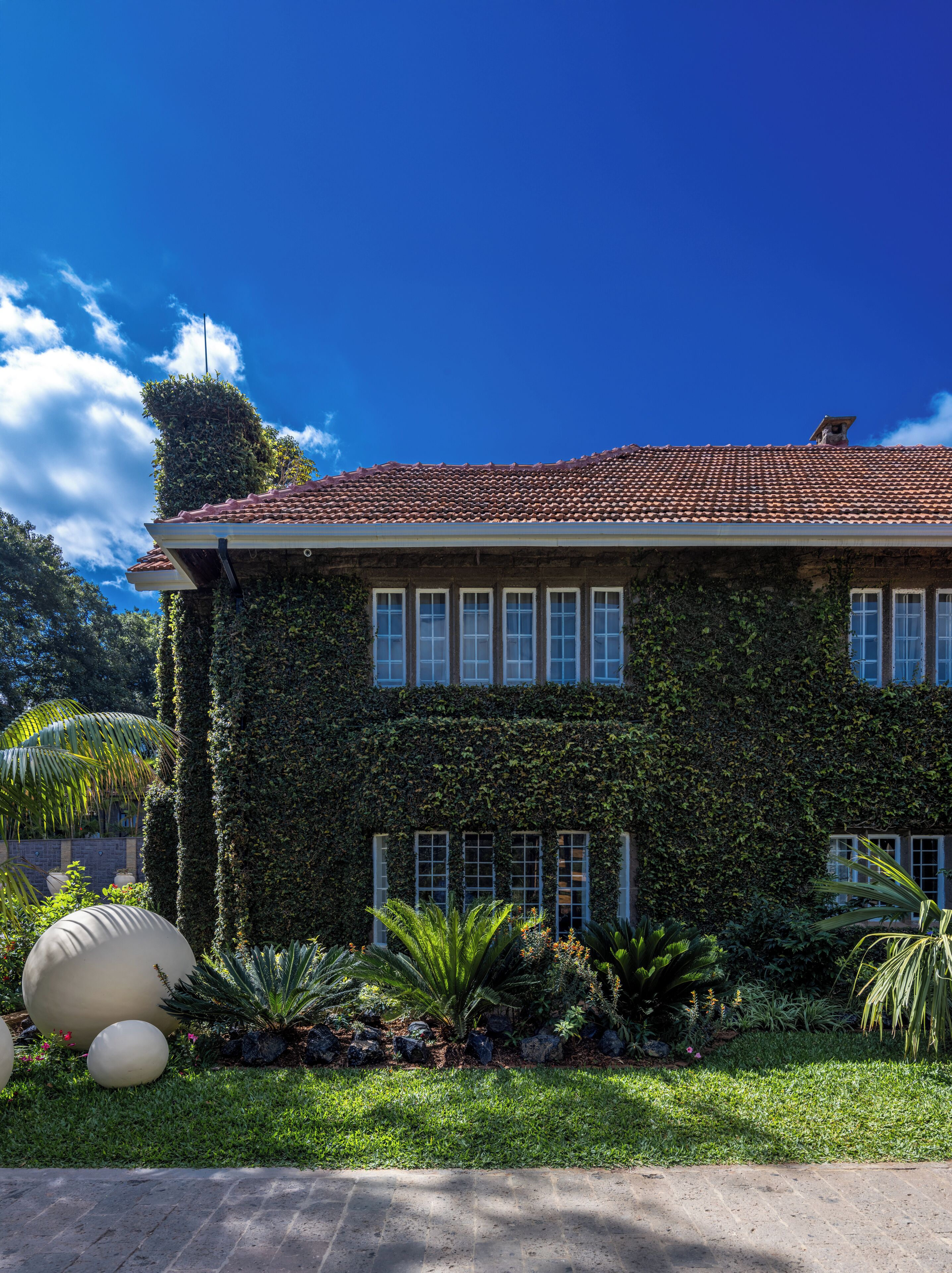 A building with a red-tiled roof, covered in ivy, and surrounded by lush greenery and palm trees.