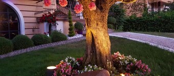 Apartments Alenka