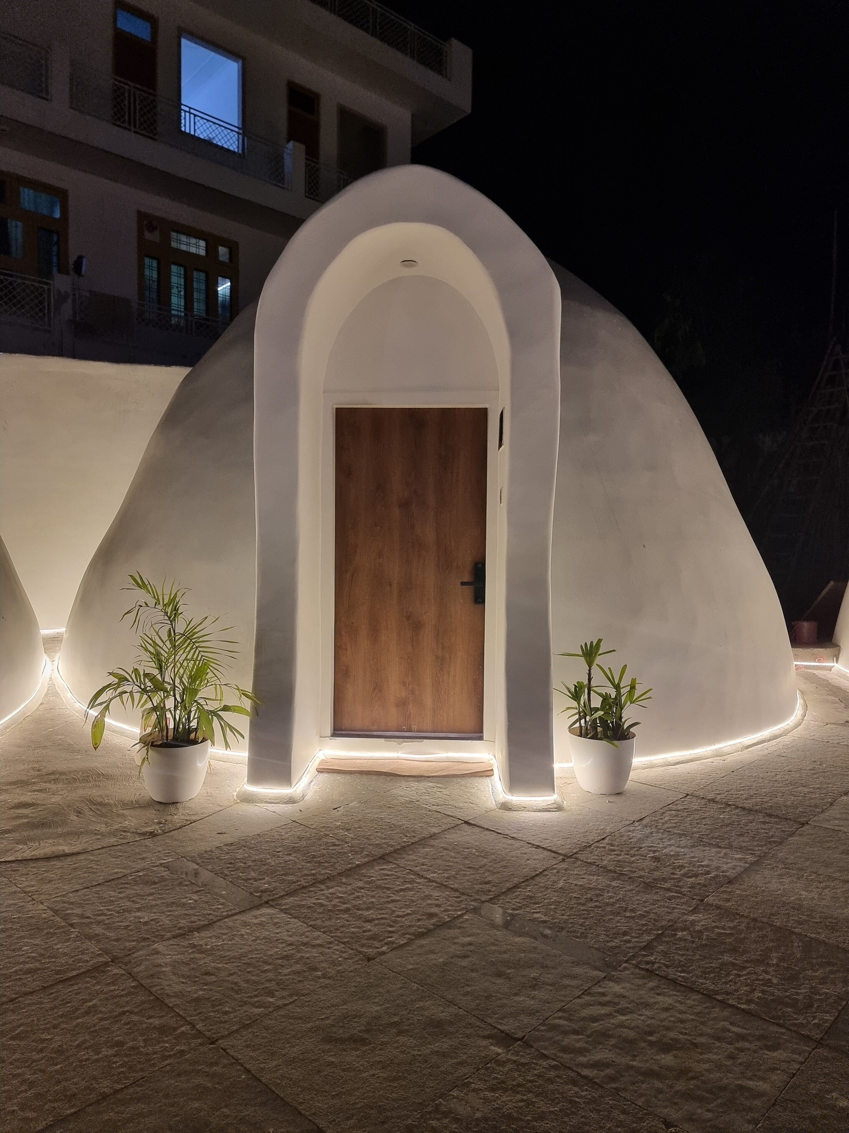 A modern building with a unique arched entrance and potted plants.