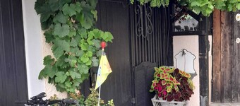 3 Holiday apartment Zirbenstüberl